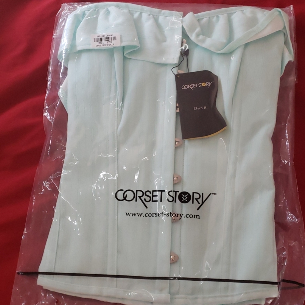 Steel bone corset aqua steel bone corset